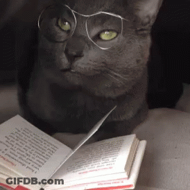 A Cat Wearing Glasses Looks At A Book GIF