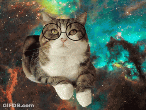 A Cat Wearing Glasses Looks At The Camera In Space GIF