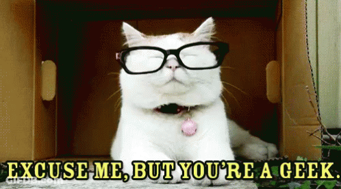 A Cat Wearing Glasses Says Excuse Me But You 'Re Geek GIF