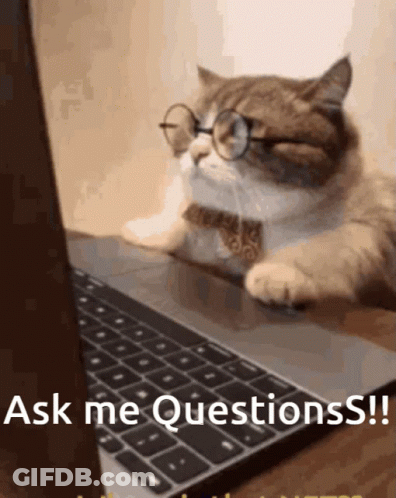 Cat Wearing Glasses Sitting In Front Of Laptop Asking Questions GIF