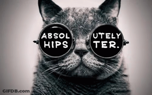 A Cat Wearing Glasses That Say Absol Hips And Utely Ter GIF