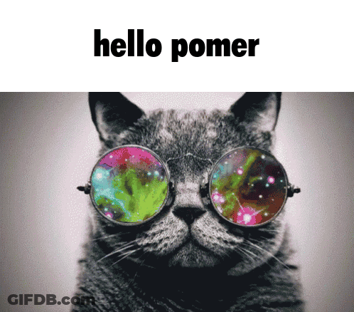 A Cat Wearing Glasses With A Galaxy Reflection And The Words Hello Pomer GIF