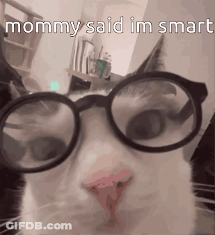 A Cat Wearing Glasses With The Words Mommy Said Im Smart Below It GIF