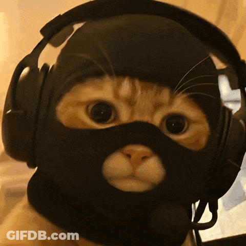 A Cat Wearing Headphones And A Black Mask On Its Face GIF