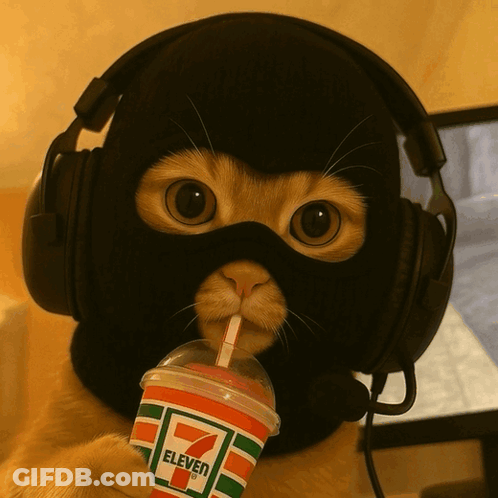 A Cat Wearing Headphones And A Ski Mask Drinking From A 7 Eleven Cup GIF