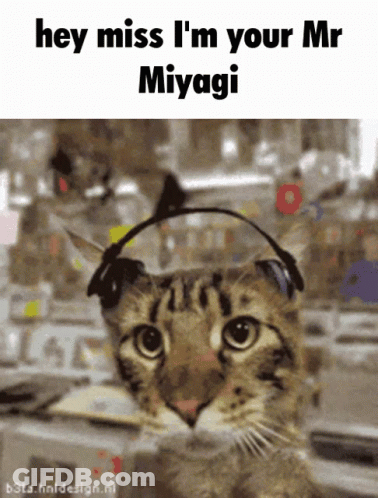 A Cat Wearing Headphones With The Words Hey Miss I 'M Your Mr Miyagi Above It GIF
