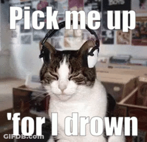 A Cat Wearing Headphones With The Words Pick Me Up For I Drown On The Bottom GIF