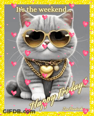 A Cat Wearing Heart Shaped Sunglasses And A Gold Chain Around Its Neck Is Sitting On A Yellow Background . GIF