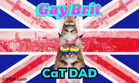 A Cat Wearing Rainbow Glasses Is Standing In Front Of A British Flag That Says Gay Brit Cat Dad GIF
