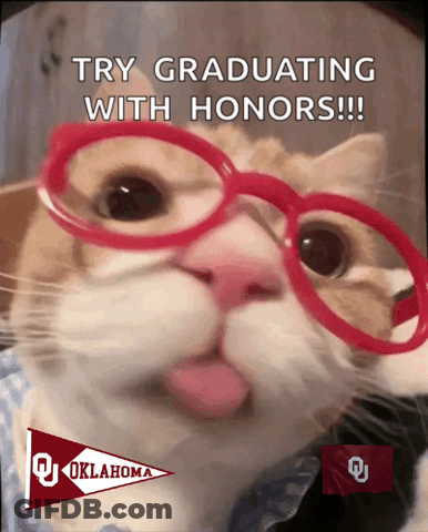 A Cat Wearing Red Glasses With The Words Try Graduating With Honors On It GIF