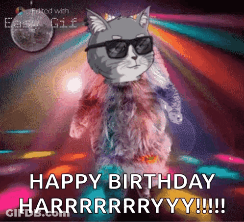 A Cat Wearing Sunglasses And A Fur Coat Is Dancing On A Dance Floor . GIF