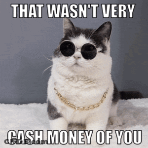 A Cat Wearing Sunglasses And A Gold Chain Says " That Wasn 'T Very Cash Money Of You " GIF