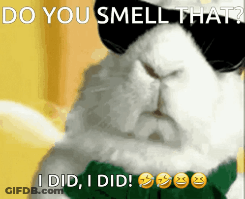 A Cat Wearing Sunglasses And A Green Scarf Says Do You Smell That GIF