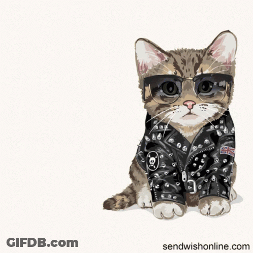A Cat Wearing Sunglasses And A Leather Jacket With The Words " Leave Me Alone " Below It GIF