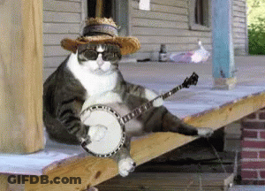 A Cat Wearing Sunglasses And A Straw Hat Plays A Banjo GIF