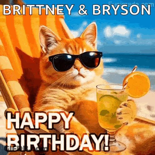 A Cat Wearing Sunglasses And Holding A Drink On The Beach . GIF