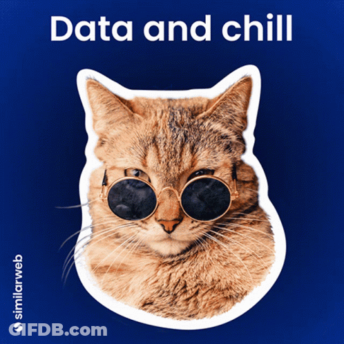 A Cat Wearing Sunglasses And The Words Data And Chill GIF