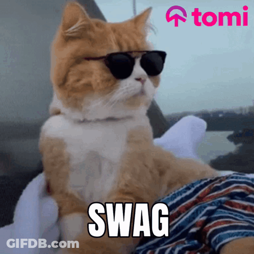 A Cat Wearing Sunglasses Has The Word Swag Written On It GIF