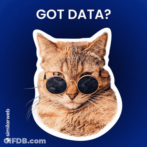 A Cat Wearing Sunglasses Is On A Blue Background With The Words Got Data Below It GIF