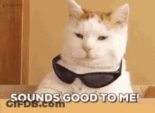A Cat Wearing Sunglasses Is Sitting At A Table And Says `` Sounds Good To Me '' . GIF