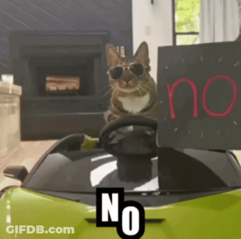 A Cat Wearing Sunglasses Is Sitting In A Car Holding A Sign That Says No GIF