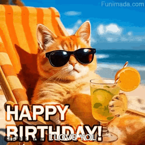 A Cat Wearing Sunglasses Is Sitting In A Chair On The Beach Holding A Drink . GIF