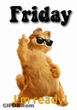 A Cat Wearing Sunglasses Says Friday I M Ready GIF