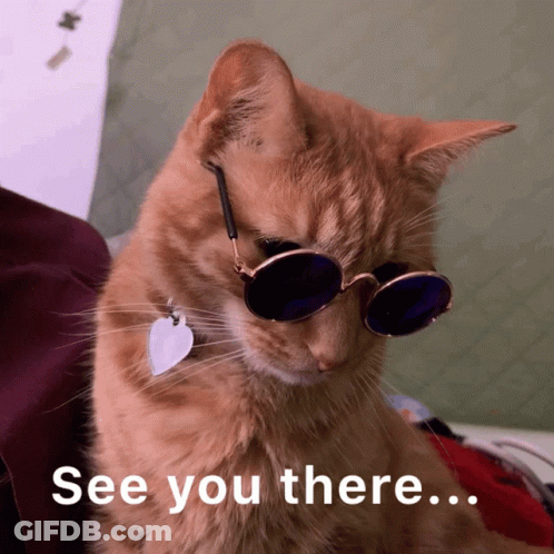 A Cat Wearing Sunglasses Says " See You There " On The Bottom GIF