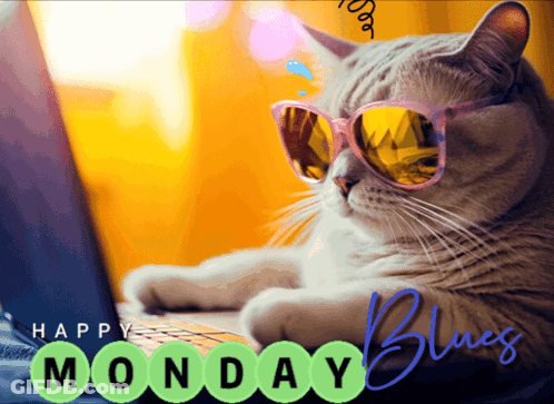 A Cat Wearing Sunglasses Sits In Front Of A Laptop With The Words Happy Monday Blues Behind It GIF