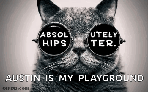 A Cat Wearing Sunglasses That Say Absol Hips GIF