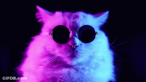 A Cat Wearing Sunglasses With A Pink And Blue Background GIF