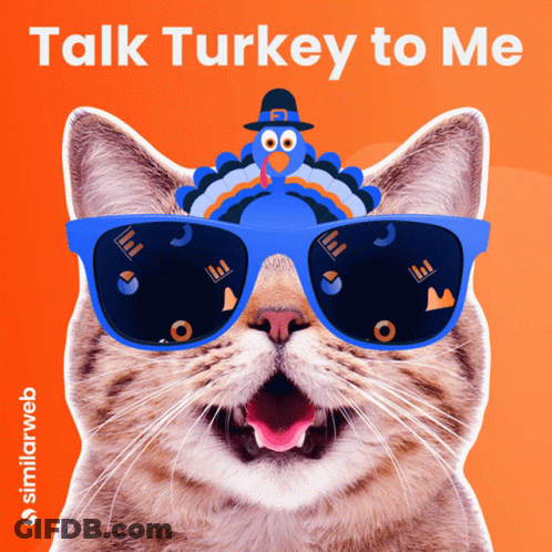 A Cat Wearing Sunglasses With A Turkey On Its Head And The Words Talk Turkey To Me GIF