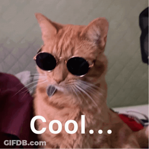 A Cat Wearing Sunglasses With The Word Cool Written Below It GIF
