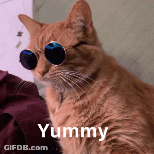 A Cat Wearing Sunglasses With The Word Yummy Written Below It GIF