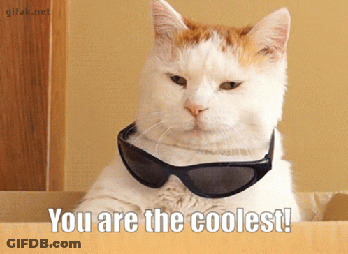 A Cat Wearing Sunglasses With The Words You Are The Coolest On The Bottom GIF