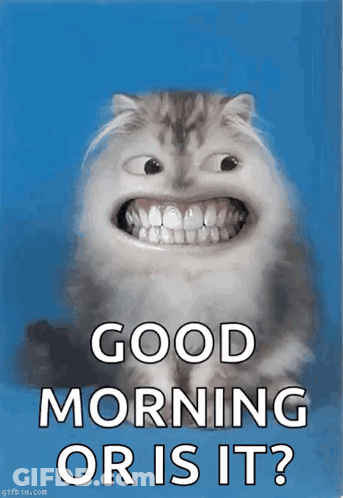 A Cat With A Big Smile On Its Face And The Words Good Morning Or Is It GIF
