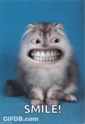 A Cat With A Big Smile On Its Face And The Words Smile Below It GIF