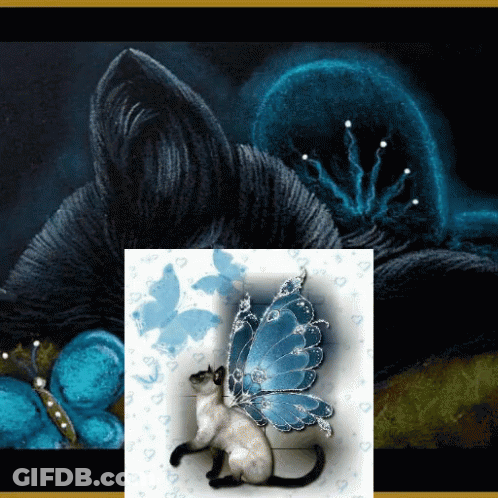 A Cat With A Blue Butterfly On Its Back Sits In Front Of A Blue Flower GIF