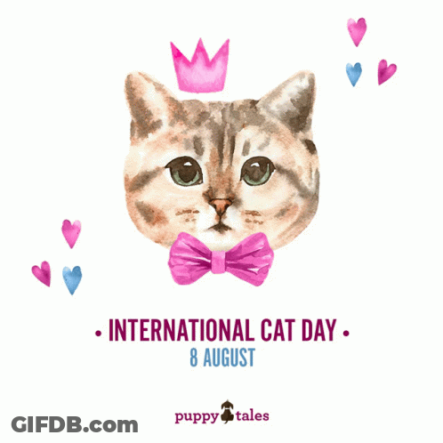 A Cat With A Bow Tie And A Crown On Its Head Says International Cat Day 8 August GIF