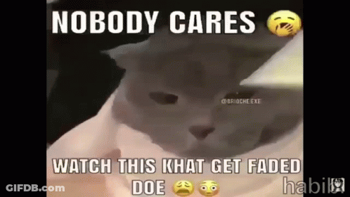 A Cat With A Caption That Says Nobody Cares Watch This Ghat Get Faded Doe GIF