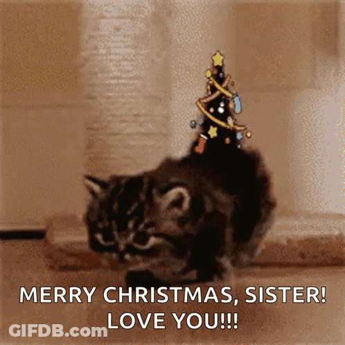 A Cat With A Christmas Tree On Its Head Says Merry Christmas Sister Love You ! GIF