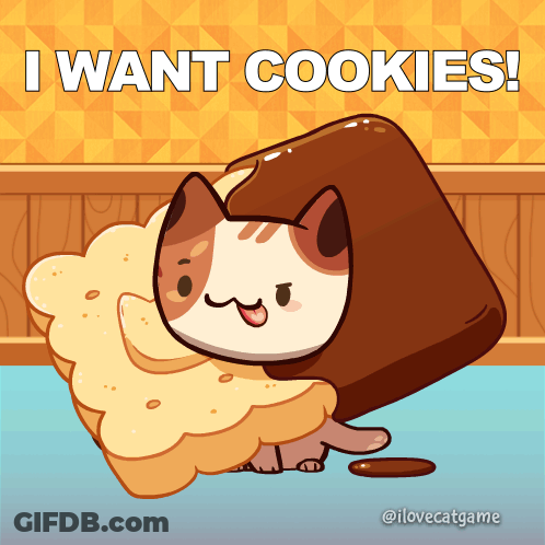 A Cat With A Cookie On Its Head And The Words I Want Cookies GIF