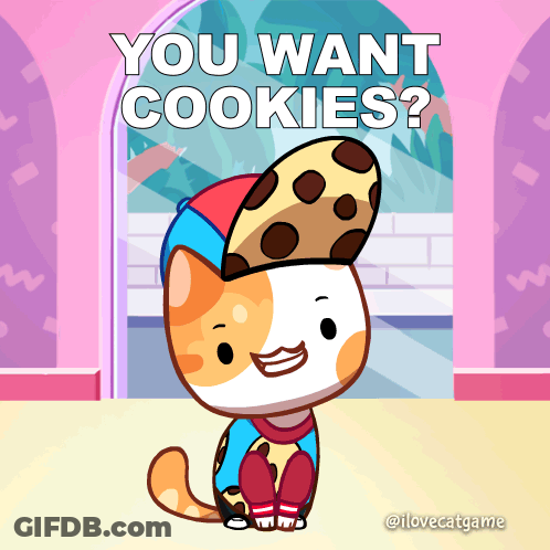 A Cat With A Cookie On Its Head And The Words You Want Cookies GIF