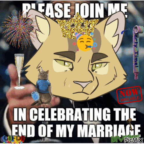 A Cat With A Crown On Its Head Is Asking For A Party GIF