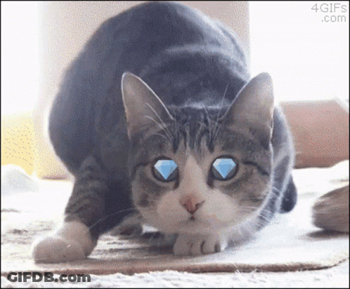 A Cat With A Diamond In Its Eye Is Looking At The Camera GIF