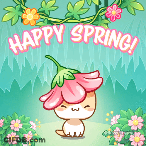 A Cat With A Flower On Its Head And The Words Happy Spring Behind It GIF