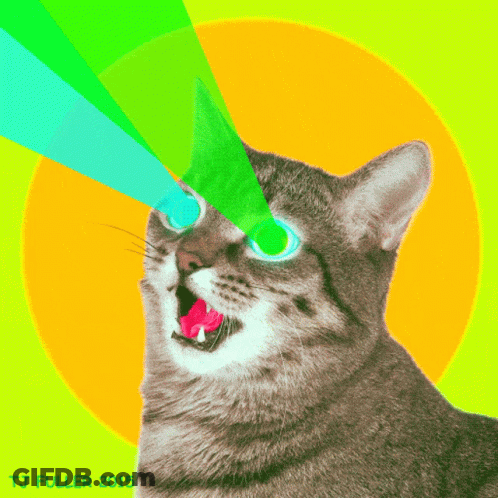 A Cat With A Green Light Coming Out Of Its Eyes And The Year 2015 GIF