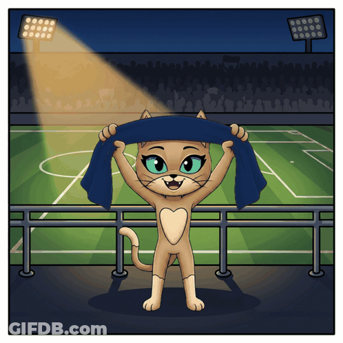 A Cat With A Heart On Its Chest Is Holding A Blue Scarf Over Its Head GIF