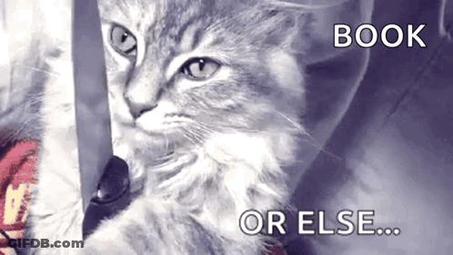 A Cat With A Knife In Its Mouth And The Words Book Or Else GIF