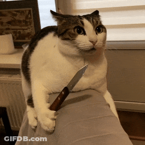 A Cat With A Knife In Its Paw Sitting On Someone 'S Lap GIF